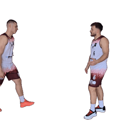 Basketball Winasone Sticker by Iserlohn Kangaroos