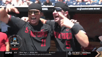 Celebrate Stanford Cardinal GIF by Stanford Athletics