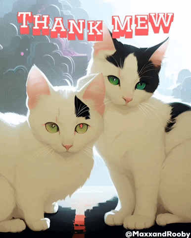 Cats Thank You GIF