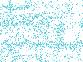 Color Sticker by MC Digital