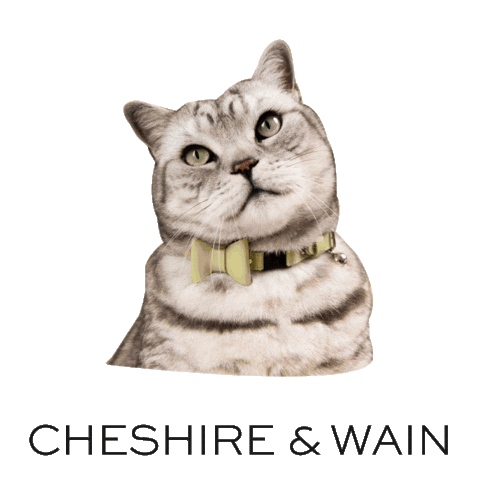 British Shorthair Cat Sticker by Cheshire & Wain
