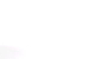 LOCAL HEARTS FOUNDATION Sticker