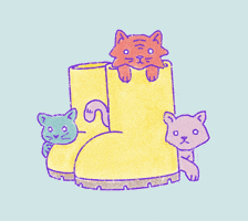 Cats GIF