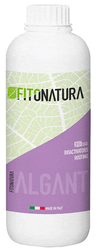 Biostimulant GIF by pasaddak.agro