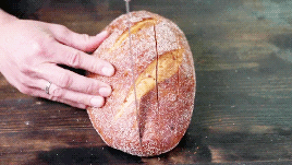 bread warning GIF