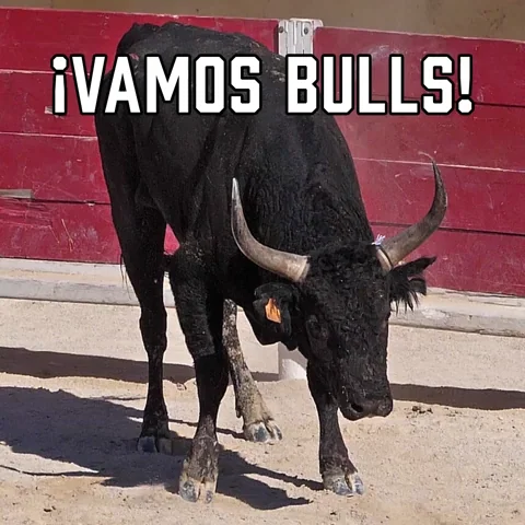 Chicago Bulls Sport GIF by Sealed With A GIF