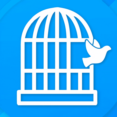 Bird Twitter GIF by decentrelon