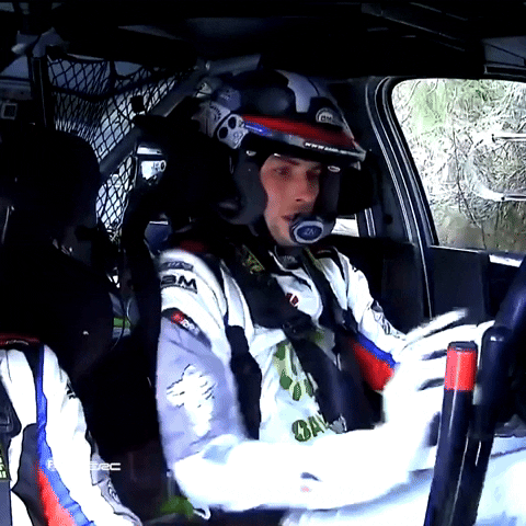 Driver Driving GIF by FIA European Rally Championship