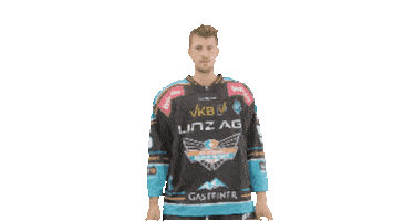 Austria Geschmack Sticker by Black Wings Linz