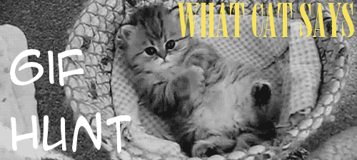 aklsjdakljsd tenho cimes dos meus