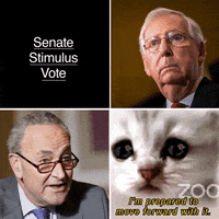 Mitch Mcconnell Cat GIF by INTO ACTION
