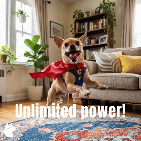 Power Energy GIF by Woofzara
