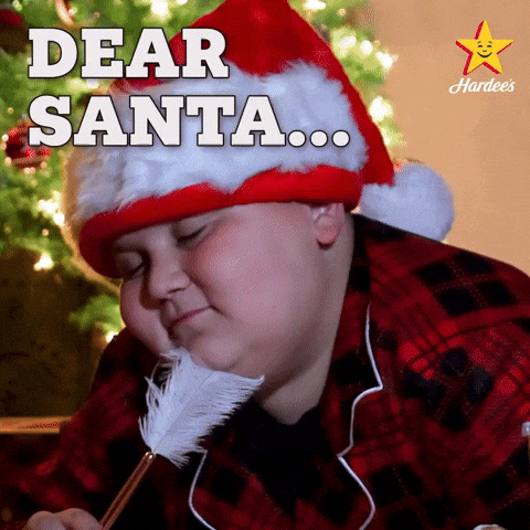 Merry Christmas GIF by Hardee's
