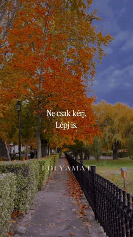 Folyamat GIF