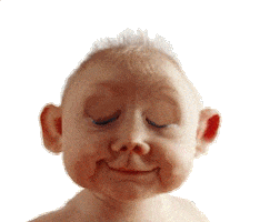 Animated Sticker