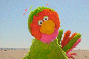 Celebrate Sesame Street GIF by Muppet Wiki