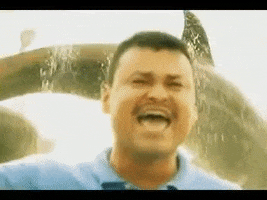 Sonidito GIF
