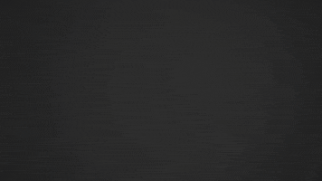 Huskies Wels GIF