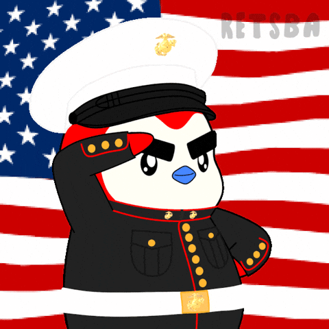 United States Usa GIF by Retsba