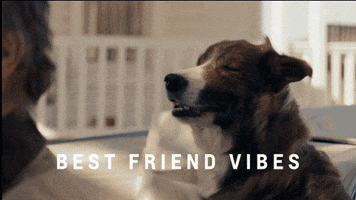 Driving Best Friend GIF by Chevrolet