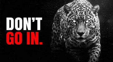 Dont Go GIF