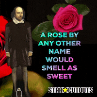 William Shakespeare Rose GIF by STARCUTOUTSUK