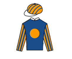 Mogul Sticker by HKJC Racing Sports