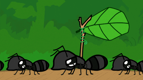 ants cartoon