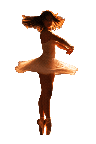 Sticker by DanceWear