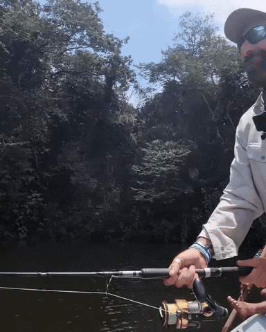 Yuri Grisendi GIF by Catfish World by Yuri Grisendi