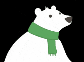 Polar Bear Winter GIF by Start-Rite Shoes
