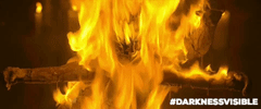 fire burning GIF by Blue Fox Entertainment