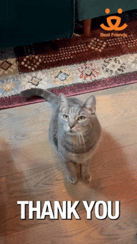 200w.gif?cid=82a1493bxllz1sqdznpzayba8uzew7c5xwv3bot9axow2dev&ep=v1_gifs_related&rid=200w.gif&ct=g