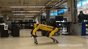 Crossfit GIF