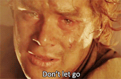 frodo crying