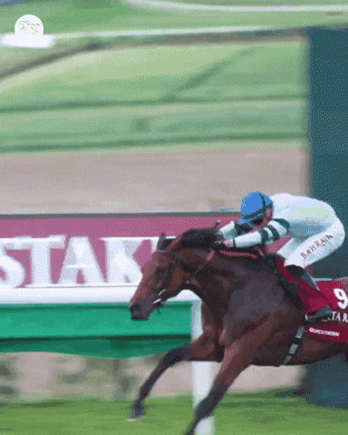 Winner Celebrate GIF by World Horse Racing