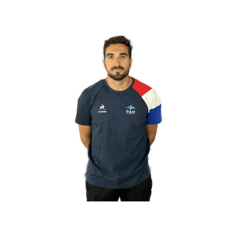 Pays d'Aix Natation Sticker