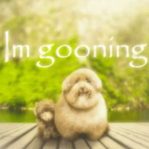 Dog Goon GIF