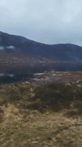 Driving Road Trip GIF by Alba Campers