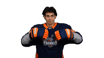 Hockey Nhl Sticker by Flint Firebirds