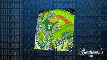 Tulane Green Wave K GIF by GreenWave