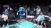 Charlotte Hornets Hugo The Hornet GIF by NBA - Find & Share on GIPHY