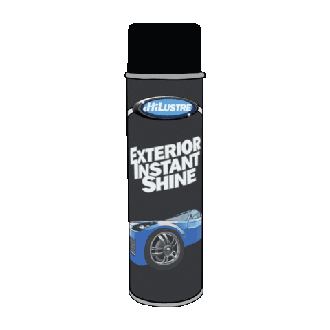 Detailing Car Care Sticker by Hi-Lustre Products