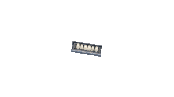 Teeth Optima Sticker by Toros Dental