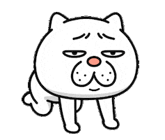 Sorry Cat Sticker