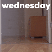 Wednesday Morning Dog GIF by GIPHY Studios Originals