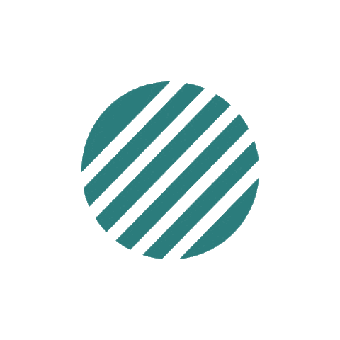 Confetti Sticker by Style my party