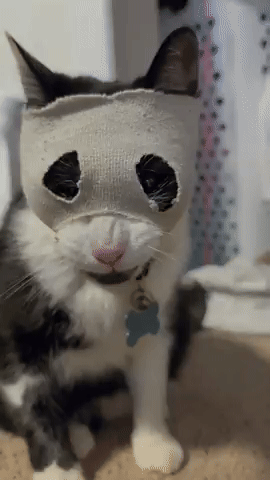 Skimask GIF