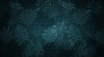 Verdanza Hotel GIF
