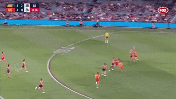 Taylor Walker Mark GIF by Adelaide Crows